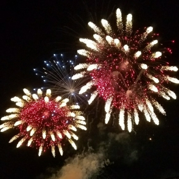 Meet your Posher, Vivian - Picture 2 of 2